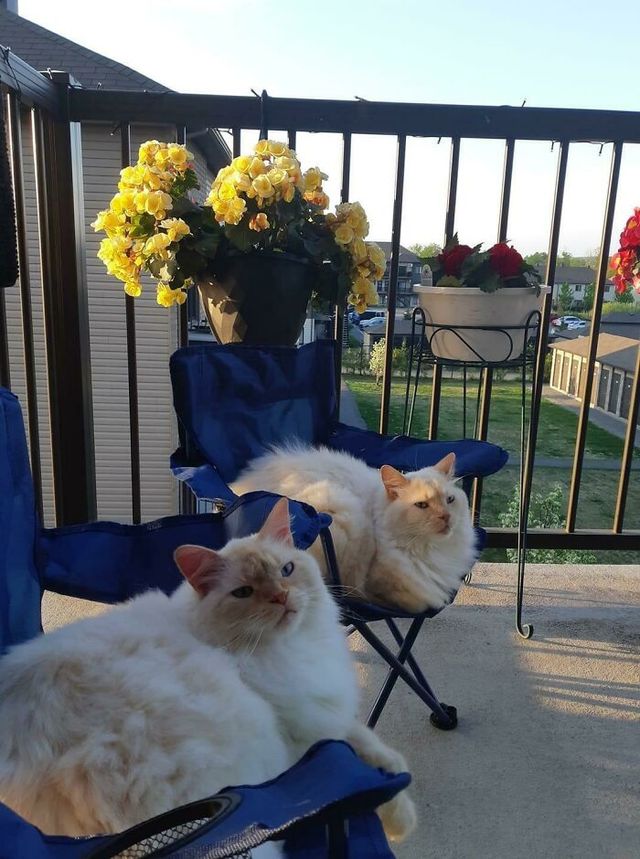 mxs4235 - фото 464770