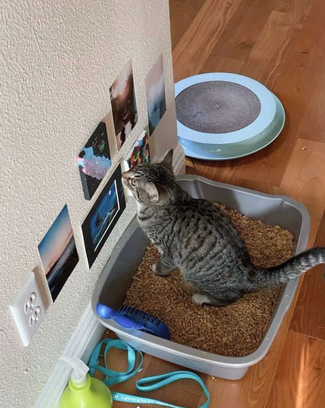 slingblade1315 - фото 464772