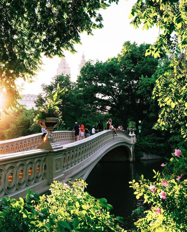 Прогулянка Нью-Йорком: атмосферні фото, які надихають мандрувати - фото 465322