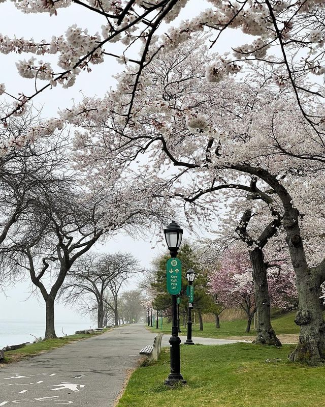 Прогулянка Нью-Йорком: атмосферні фото, які надихають мандрувати - фото 465327