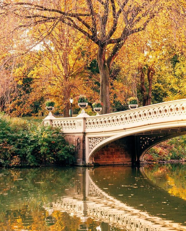 Прогулянка Нью-Йорком: атмосферні фото, які надихають мандрувати - фото 465329