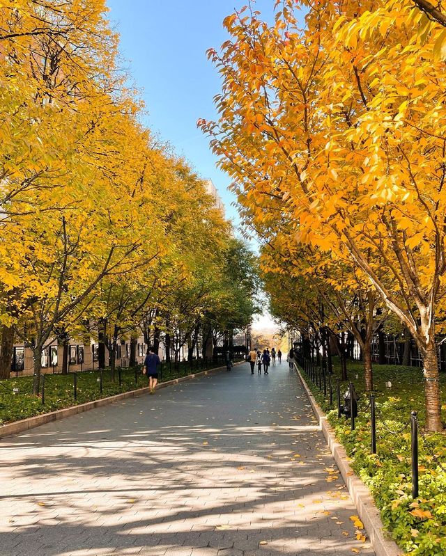 Прогулянка Нью-Йорком: атмосферні фото, які надихають мандрувати - фото 465330