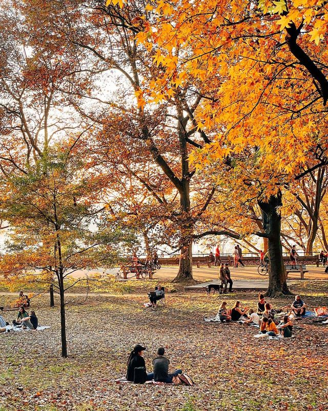 Прогулянка Нью-Йорком: атмосферні фото, які надихають мандрувати - фото 465331