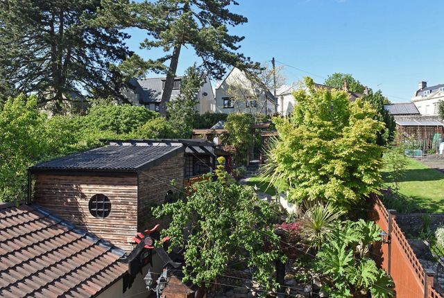 Англієць 10 років створював японський сад мрії на своєму задньому дворі: фото ДО та ПІСЛЯ - фото 465394