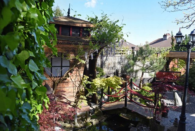 Англієць 10 років створював японський сад мрії на своєму задньому дворі: фото ДО та ПІСЛЯ - фото 465395