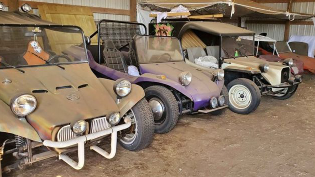 У сараї знайшли невелику колекцію покинутих класичних пляжних багі