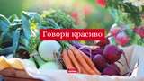 Говори красиво: як правильно називати овочі українською