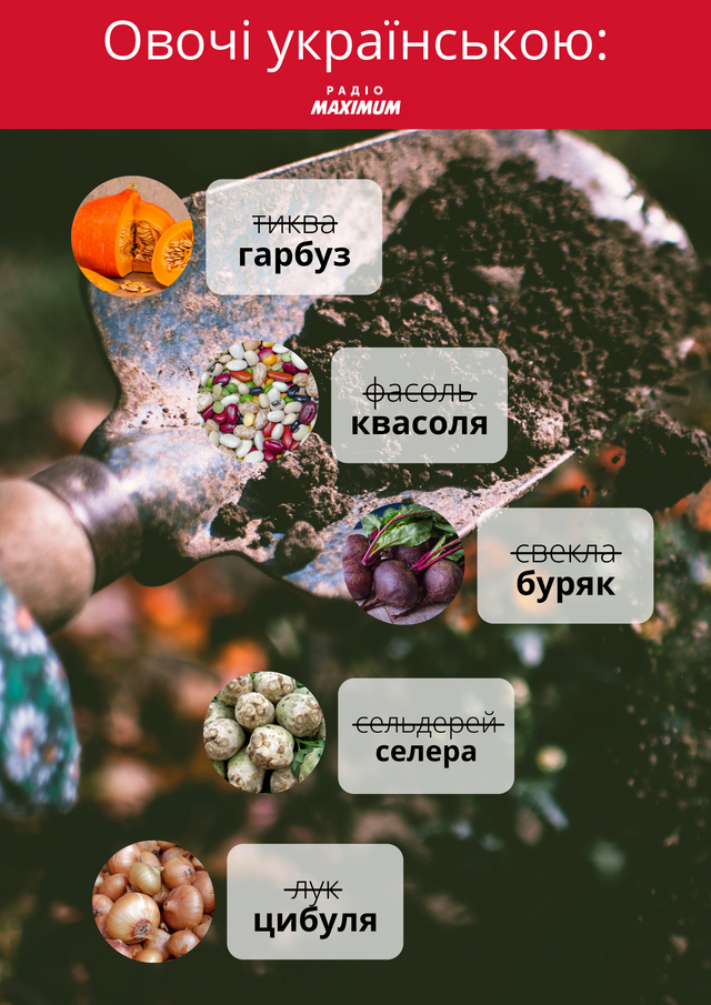 Говори красиво: як правильно називати овочі українською - фото 465579