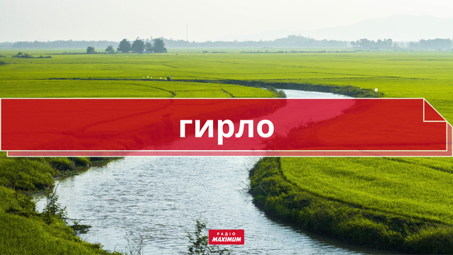 10 колоритних українських слів про літо, які збагатять ваше мовлення - фото 465920