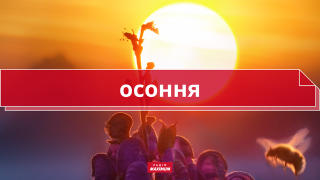 10 колоритних українських слів про літо, які збагатять ваше мовлення - фото 465921