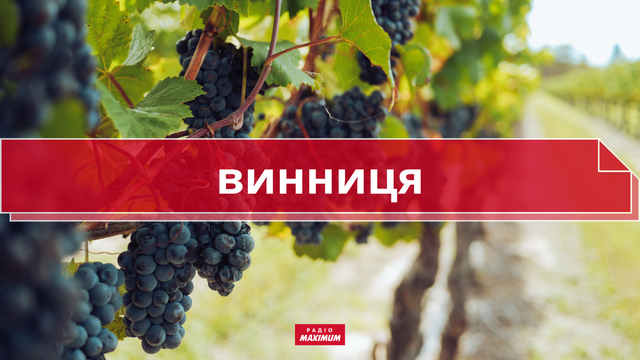 10 колоритних українських слів про літо, які збагатять ваше мовлення - фото 465924