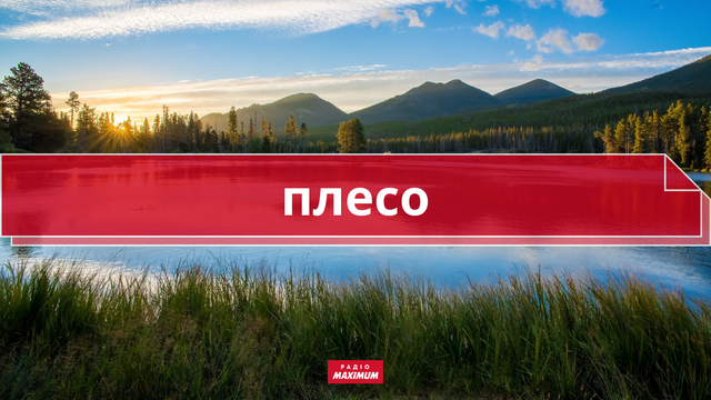 10 колоритних українських слів про літо, які збагатять ваше мовлення - фото 465925