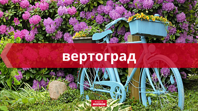 10 колоритних українських слів про липень, які прикрасять ваше мовлення - фото 465931