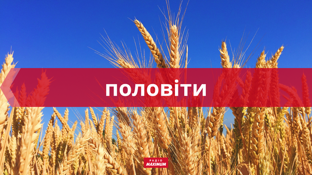 10 колоритних українських слів про липень, які прикрасять ваше мовлення - фото 465934