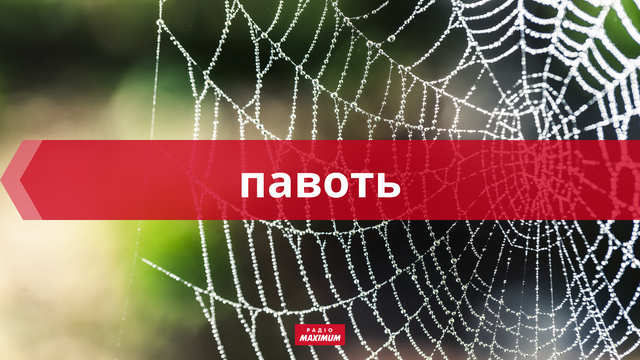 10 колоритних українських слів про липень, які прикрасять ваше мовлення - фото 465935