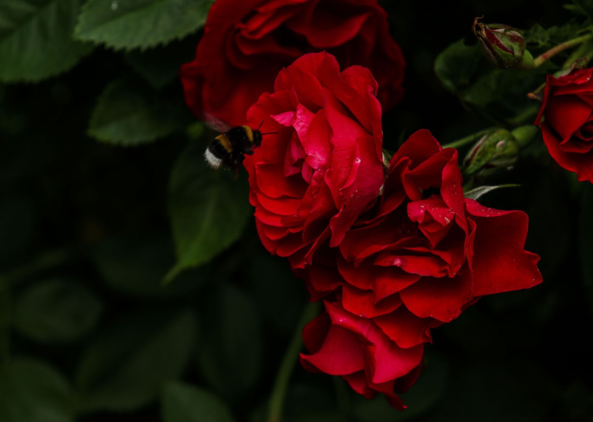 Погода в Україні 3 липня: точний прогноз на сьогодні