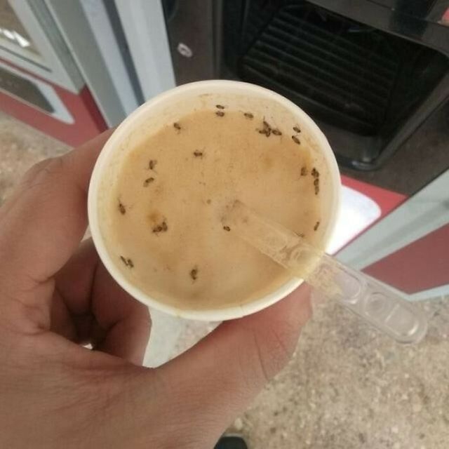 Епічні приклади сервірування їжі: фото, від яких зникає апетит - фото 466519