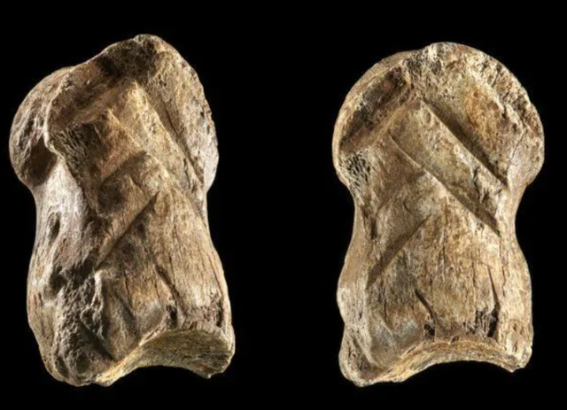 Археологи знайшли найдавніший орнамент, створений неандертальцями 51 тисячу років тому - фото 466717