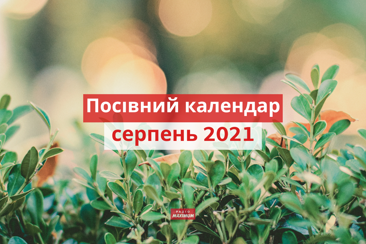 Місячний посівний календар на серпень 2021: коли і що садити