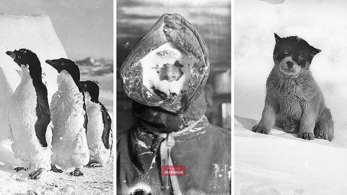 Антарктида у 1910-х роках - фото 1