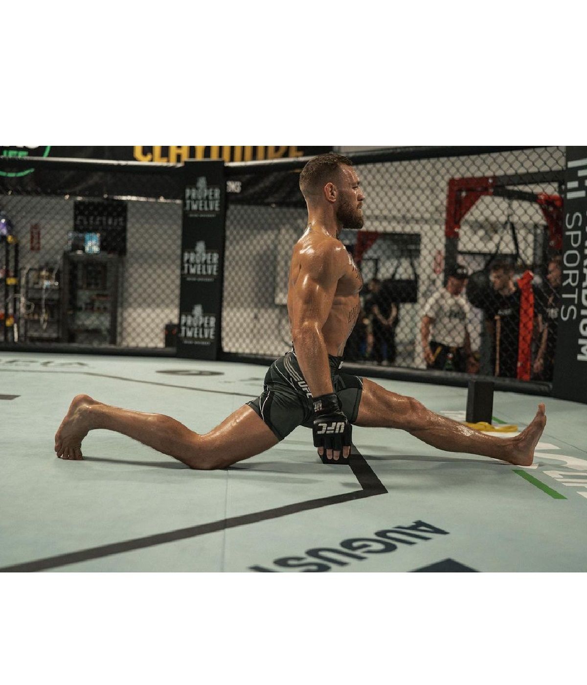 Макгрегор - Пор'є: результати бою - фото 1