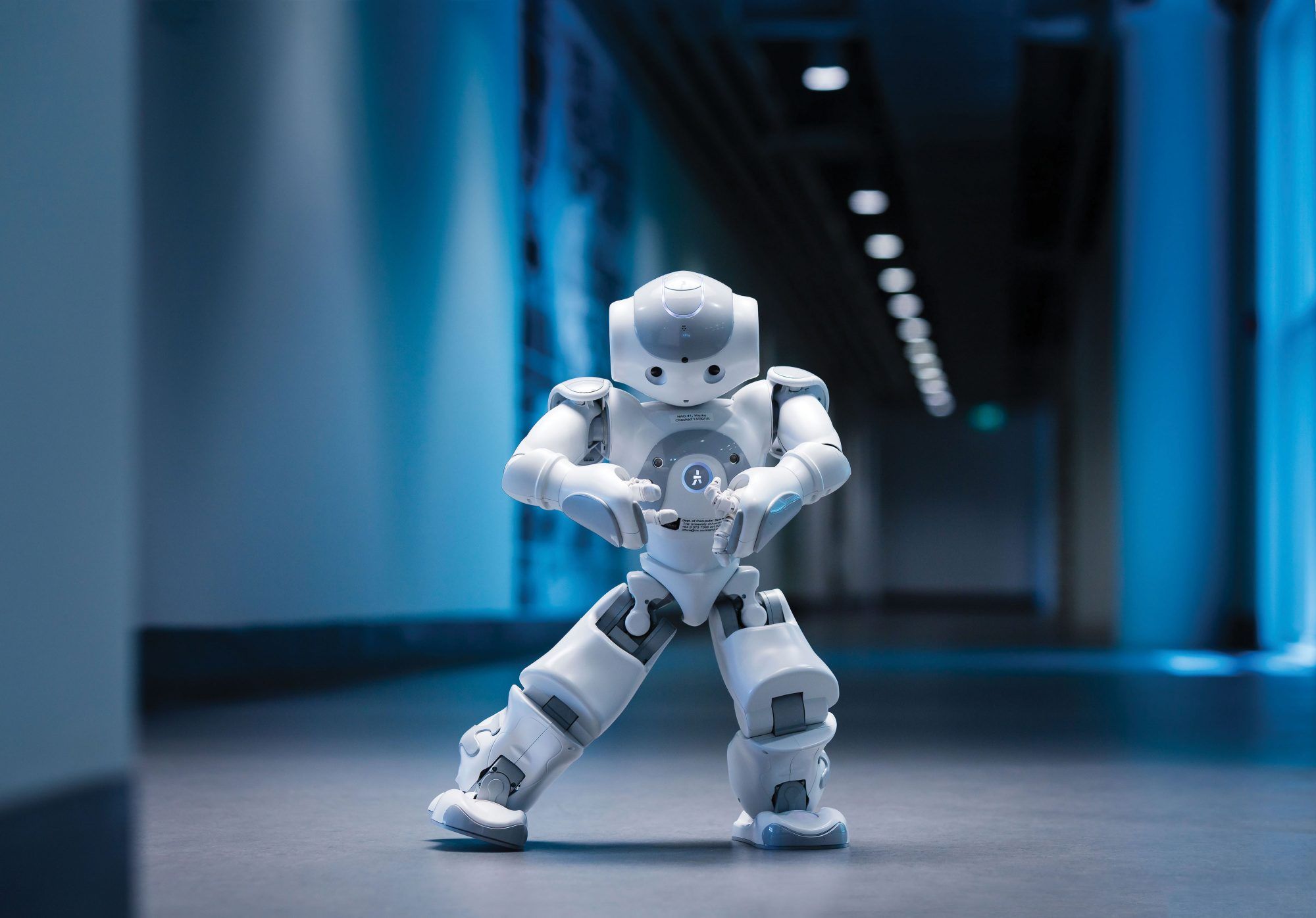 Робот Walker X - фото 1