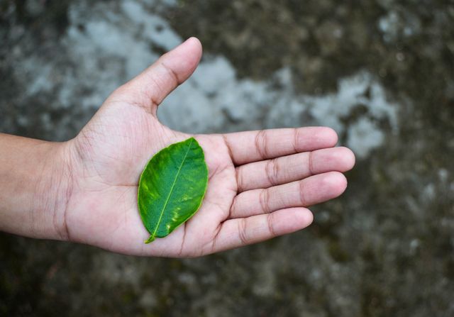 17 липня 2021 – яке сьогодні свято: традиції, заборони і прикмети - фото 467948