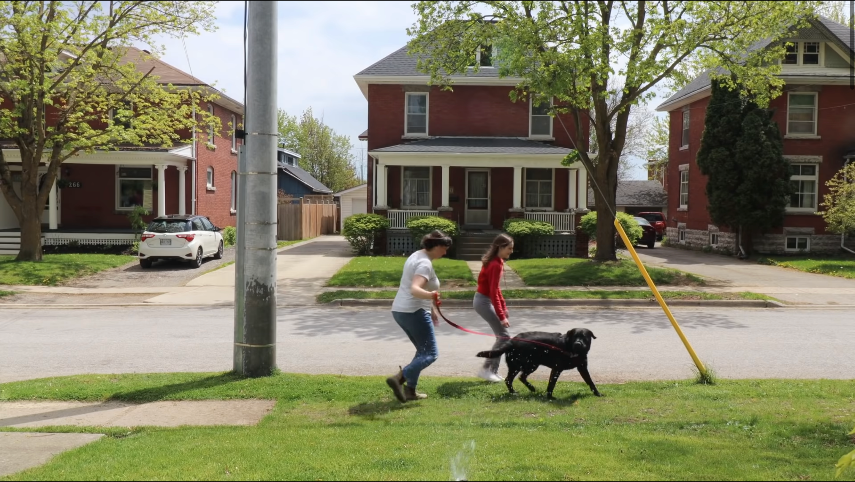 За ходіння по газону людей обливає водою - фото 1
