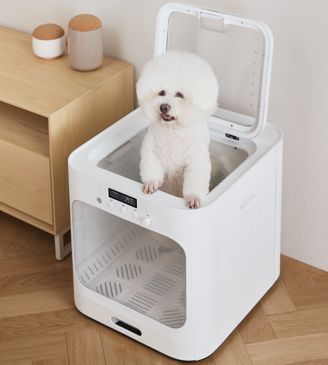 Xiaomi збирає кошти на випуск компактної сушарки для тварин - фото 468666