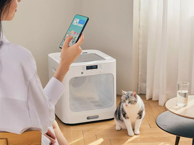 Xiaomi збирає кошти на випуск компактної сушарки для тварин - фото 468667