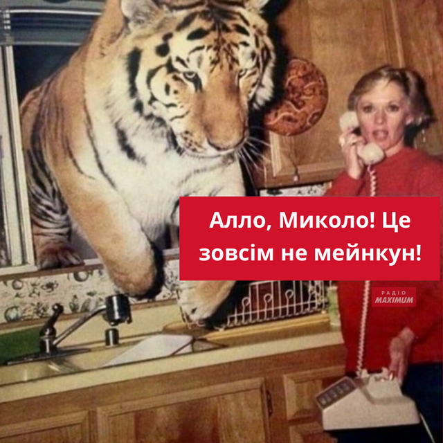 Меми з тиграми: 10 жартівливих картинок на всі випадки життя - фото 468916