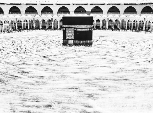 iPhone Photography Awards: дивіться найкращі знімки, зроблені на iPhone у 2021 році - фото 469563