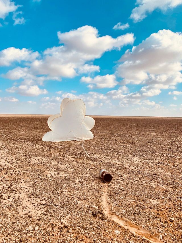 iPhone Photography Awards: дивіться найкращі знімки, зроблені на iPhone у 2021 році - фото 469587