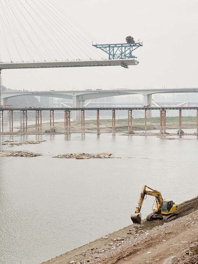 iPhone Photography Awards: дивіться найкращі знімки, зроблені на iPhone у 2021 році - фото 469593