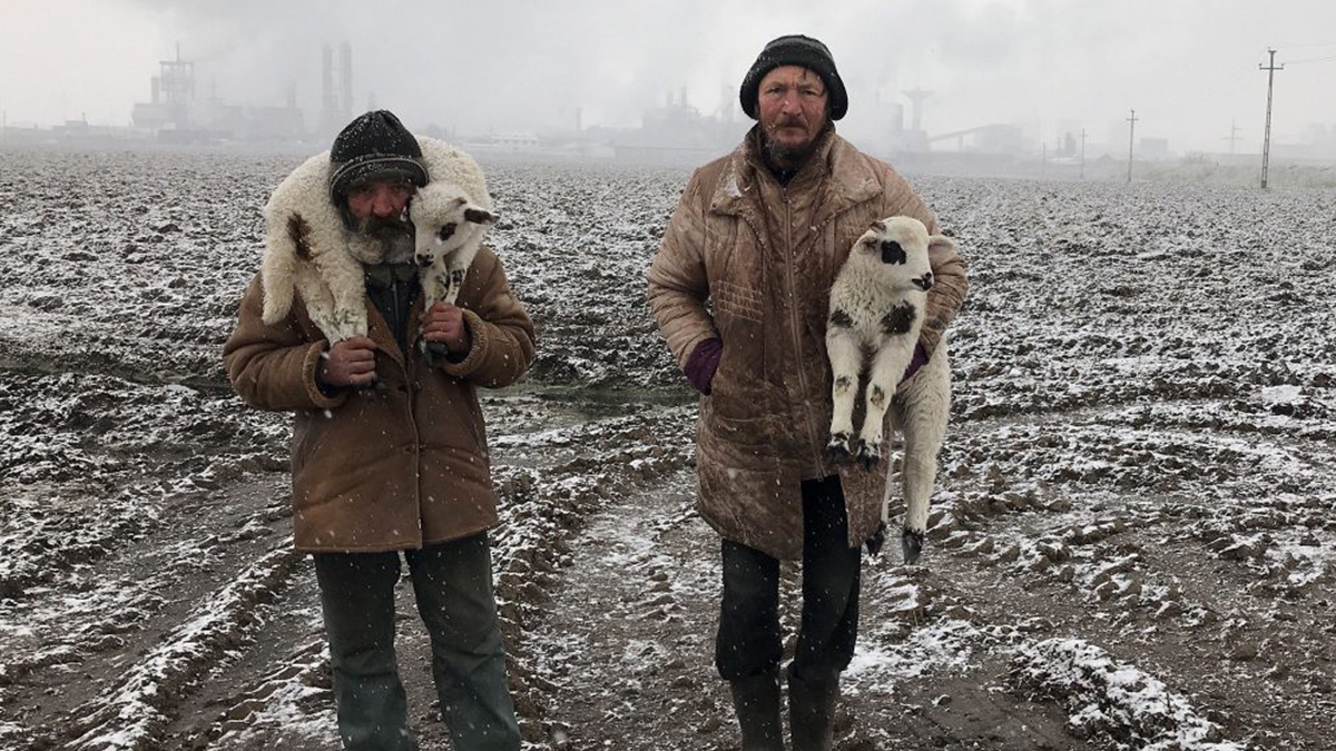 iPhone Photography Awards: дивіться найкращі знімки, зроблені на iPhone у 2021 році - фото 1