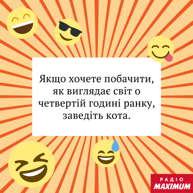 Анекдоти про котів: найкращі жарти та приколи про пухнастиків - фото 470061