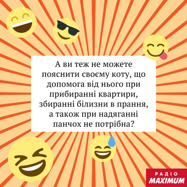 Анекдоти про котів: найкращі жарти та приколи про пухнастиків - фото 470062