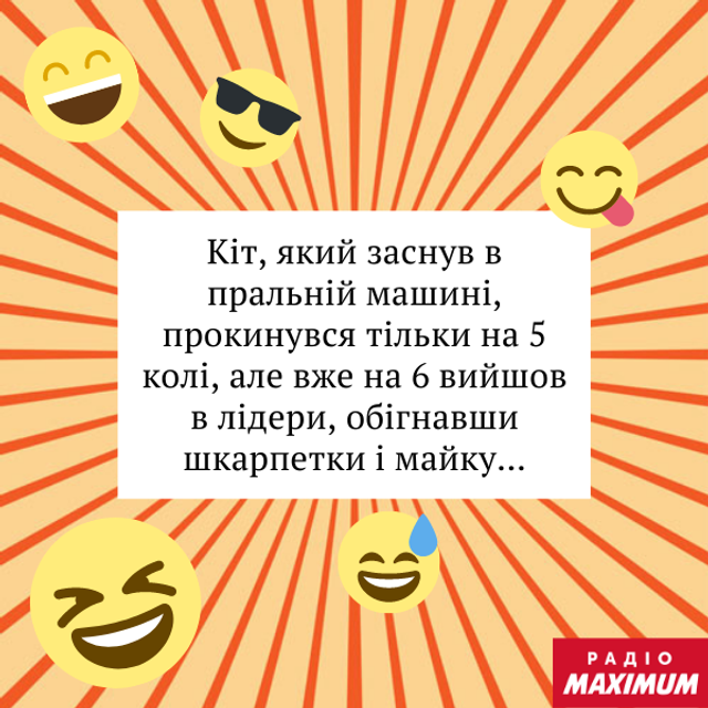Анекдоти про котів: найкращі жарти та приколи про пухнастиків - фото 470063