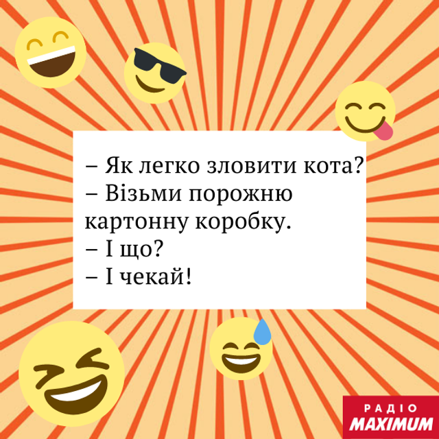 Анекдоти про котів: найкращі жарти та приколи про пухнастиків - фото 470064