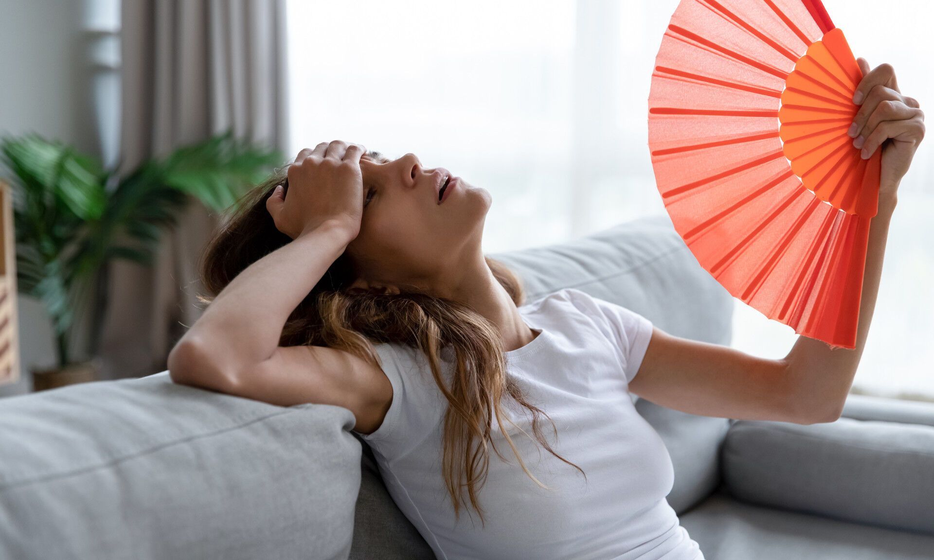 Спека - фото 1