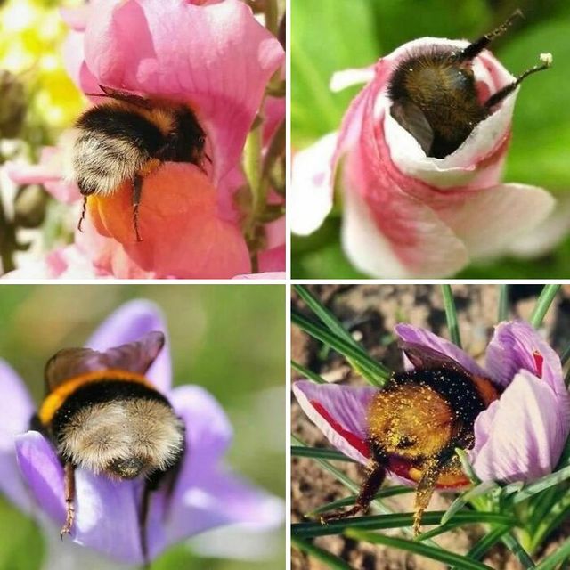 Не лише котики: кумедні і милі фото тварин, які підіймуть настрій - фото 471207