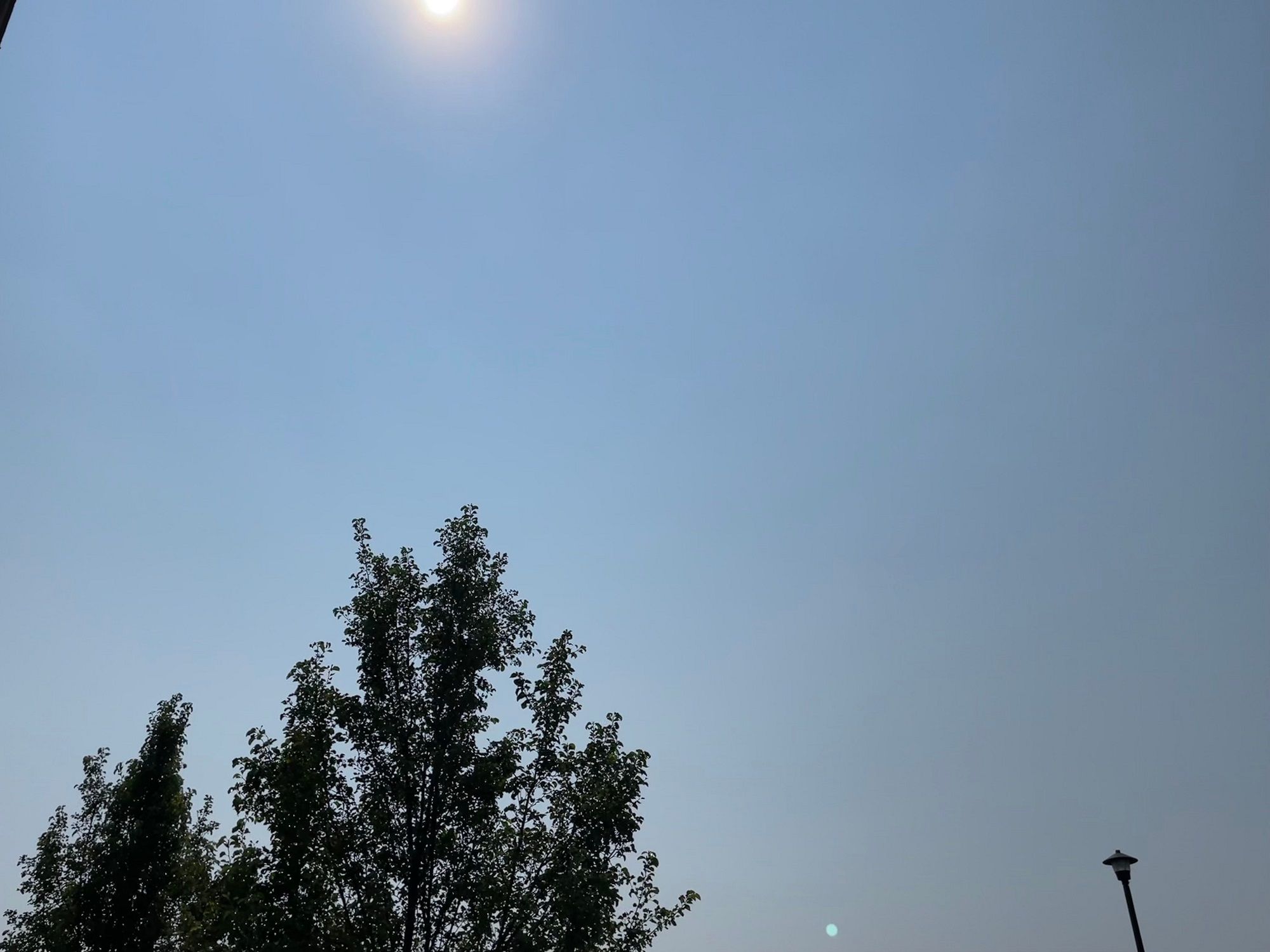 iPhone з новою iOS 15 будуть автоматично видаляти сонячні відблиски з фото після зйомки