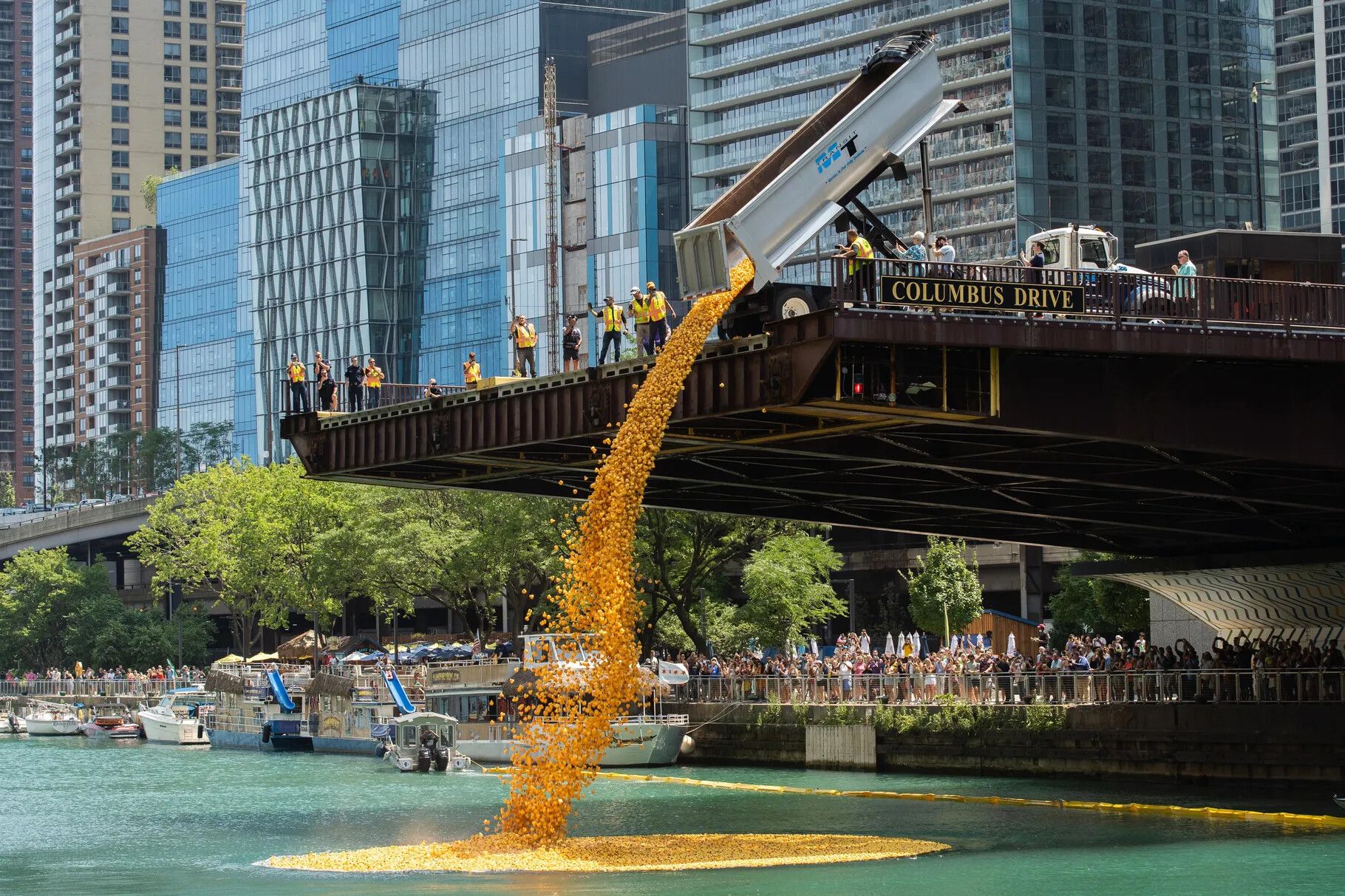 У Чикаго випустили у річку 70 тисяч гумових качок з благодійною метою