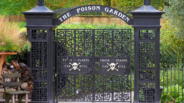 Як виглядає найсмертоносніший сад на планеті, де кожна рослина може вбити - фото 471485