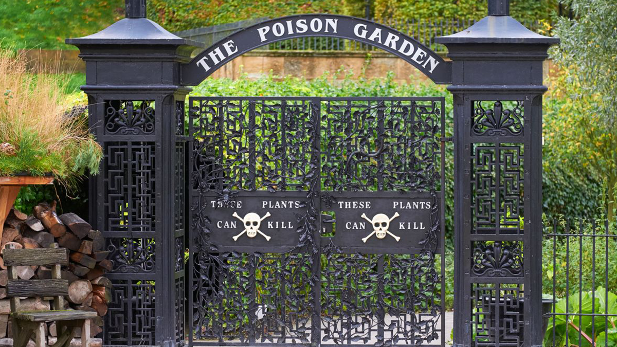 Як виглядає найсмертоносніший сад на планеті, де кожна рослина може вбити