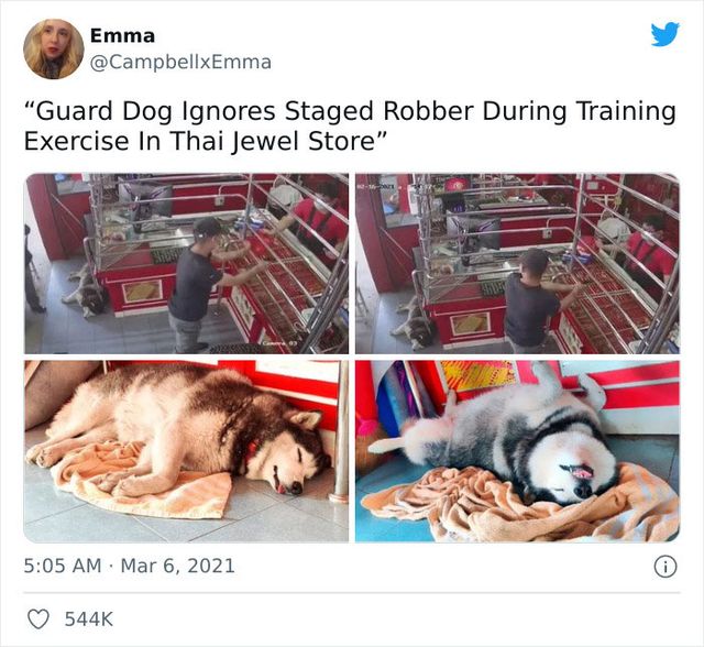 campbellxemma - фото 471685