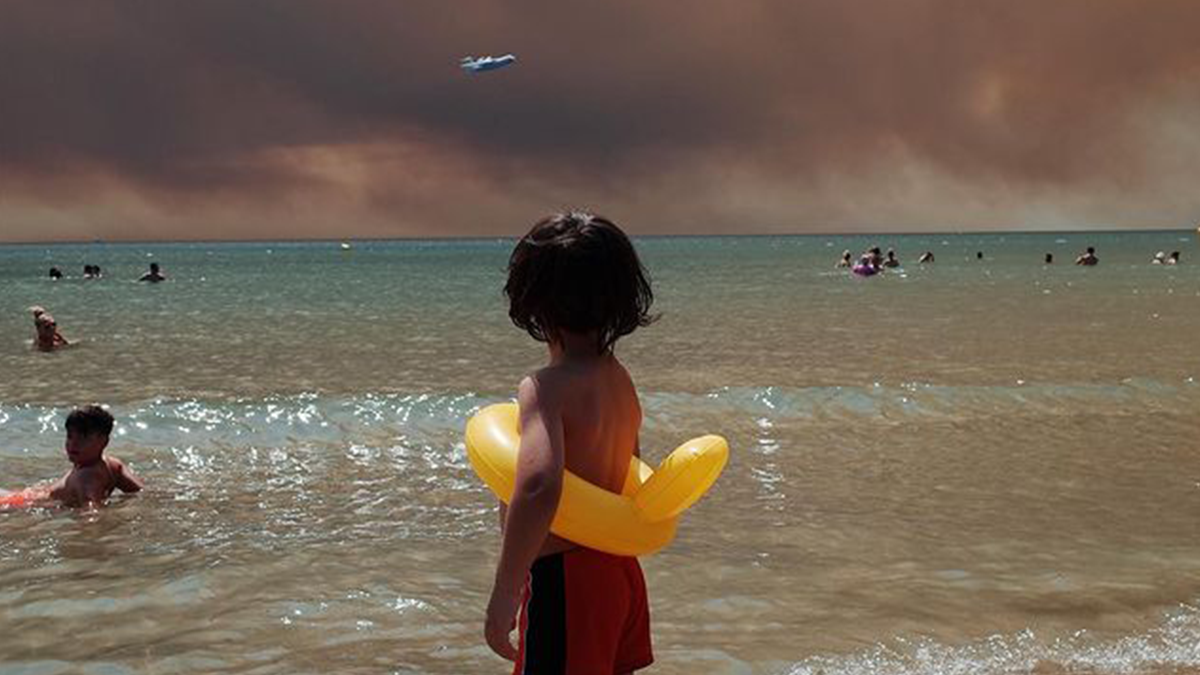 Цей знімок українського фотографа став символом кризи з лісовими пожежами в Туреччині