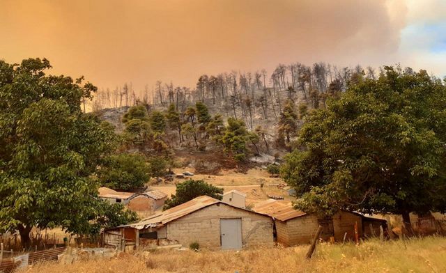 Українські рятувальники показали, як гасять вогонь в Греції - фото 471891
