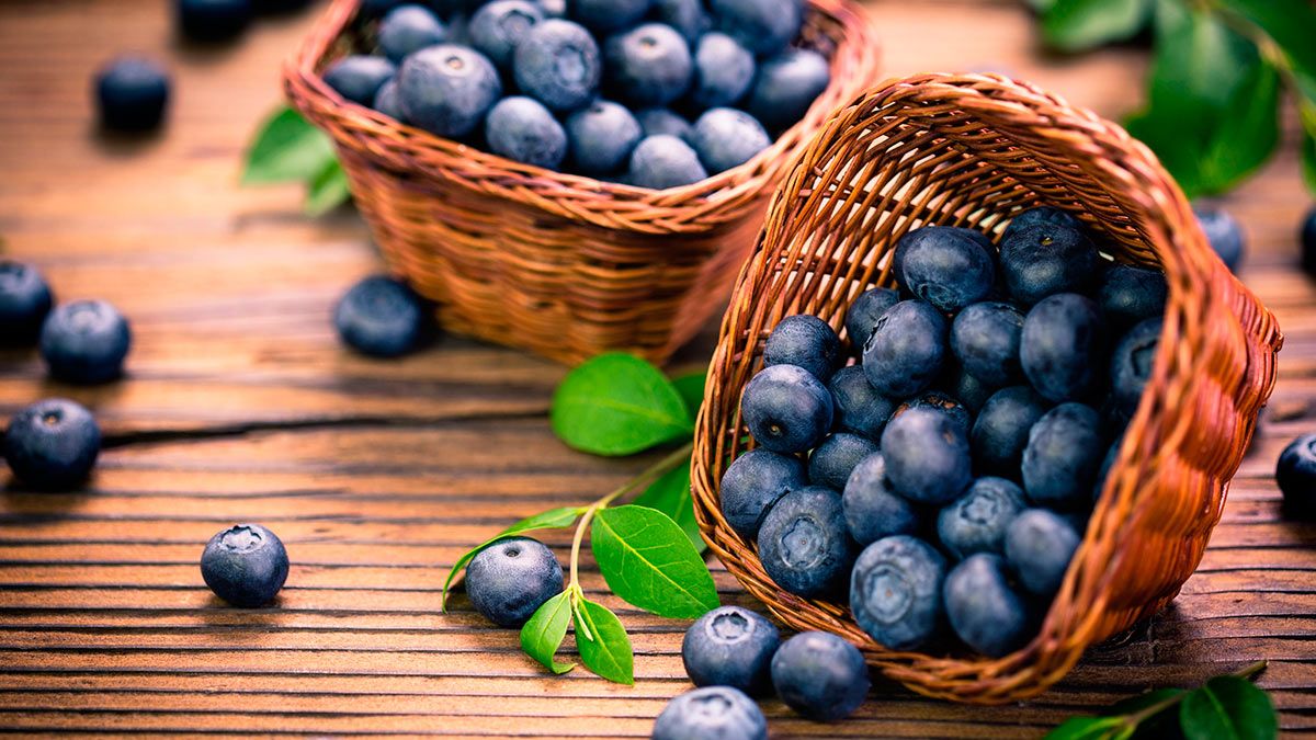 Ягоди лохини - фото 1