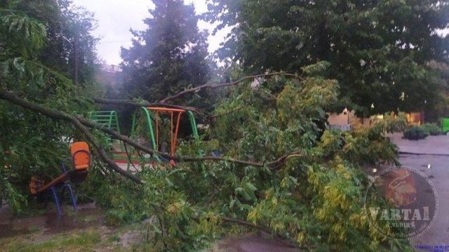 Повалені дерева і підтоплені вулиці: у мережі показали наслідки буревію у Львові - фото 472712